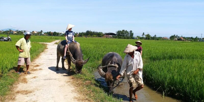 hoi-an-farming-and-fishing-by-bicycle-at-tra-que-village