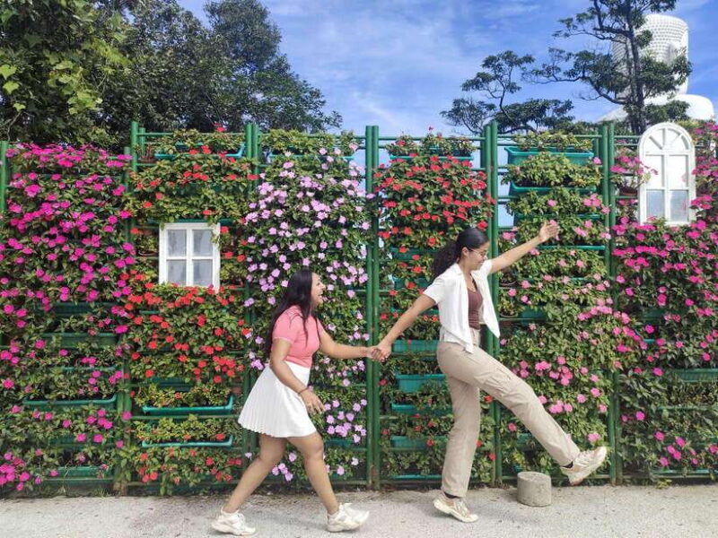 Hoi An: Full-day Ba Na Hills & Amazing Golden Bridge - The Highlights in Detail