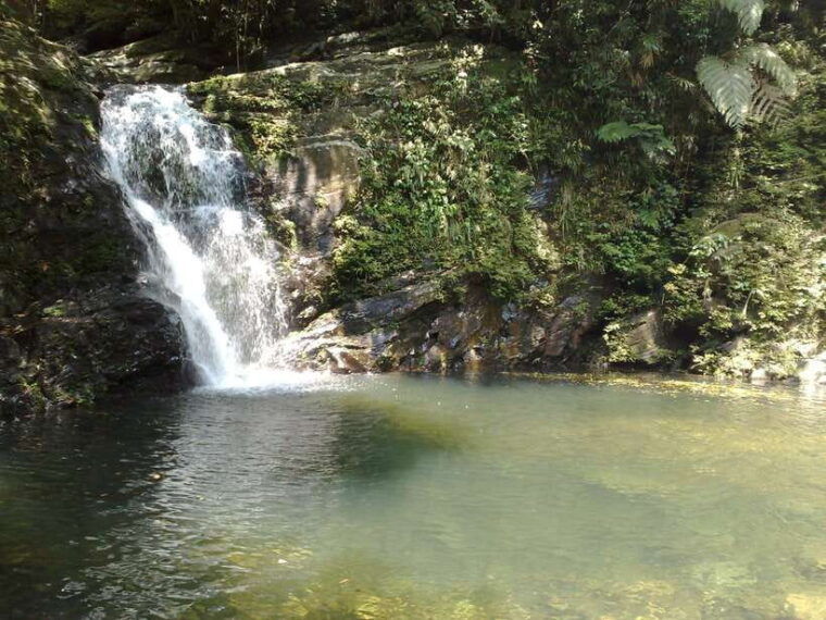 hoi-an-full-day-bach-ma-national-park-trek-beach-retreat