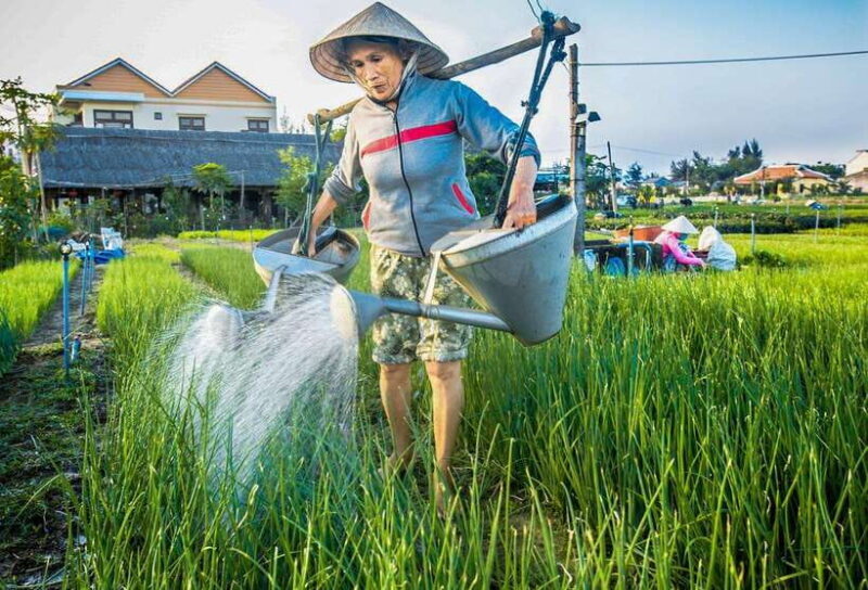 Hoi An: Half-day Farm To Table Adventure In Tra Que Village - FAQ