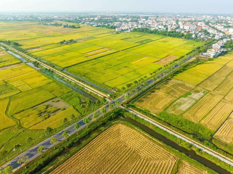 Hoi An: Half-day Farm To Table Adventure In Tra Que Village - Final Thoughts