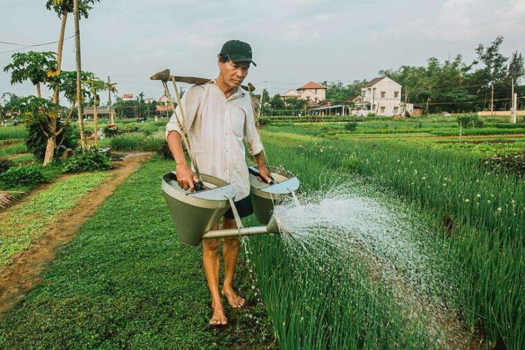 hoi-an-half-day-farm-to-table-adventure-in-tra-que-village