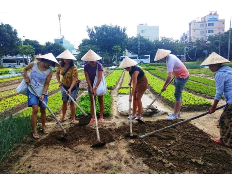 Hoi An: Jolie Cooking Class - Key Points