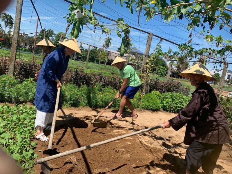 Hoi An: Marble Mountains, Monkey Mountain and Cooking Class - A Balanced Look at the Tour Experience