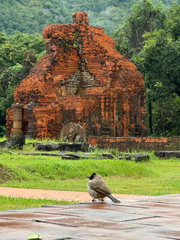 hoi-an-my-son-sanctuary-private-tour-with-local-guide