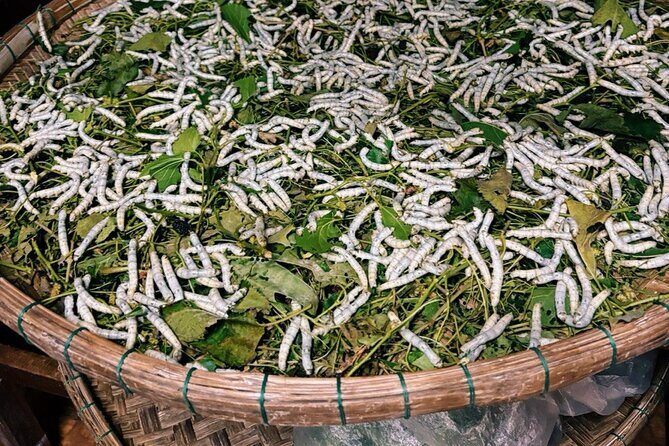 Hoi An Old Town Tour Explore the Ruins of Hoi An's Trading Port - Key Points