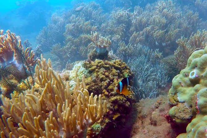 Hoi An Private 2-Day Tour with Snorkeling and Hotel - An In-Depth Look at the 2-Day Itinerary