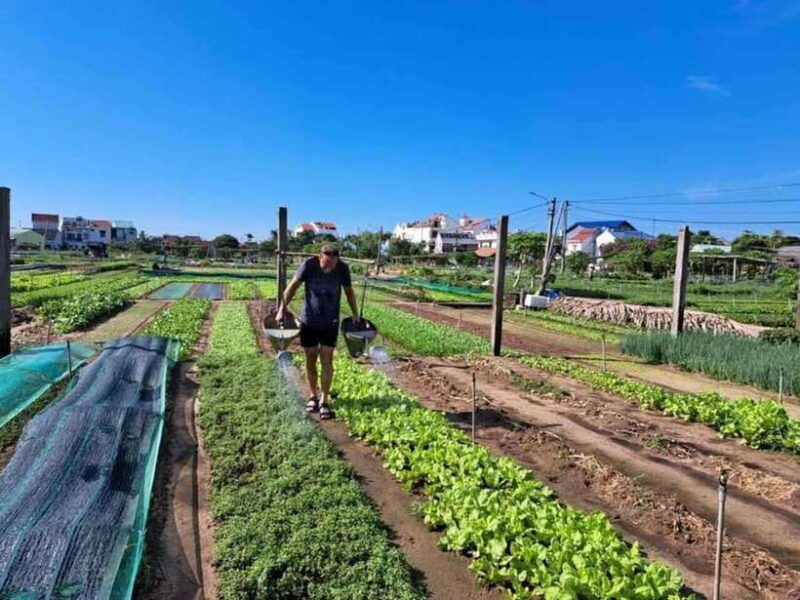 hoi-an-rural-bike-tour-and-traditional-villages