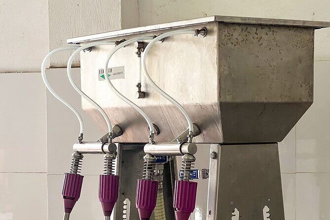 Hoi An Scenic River Cruise And Village Tour - Frequently Asked Questions