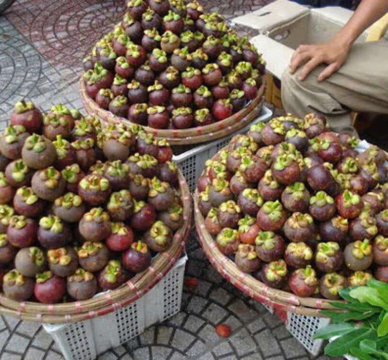 hoi-an-seafood-tropical-fruits-tasting-and-making-lantern