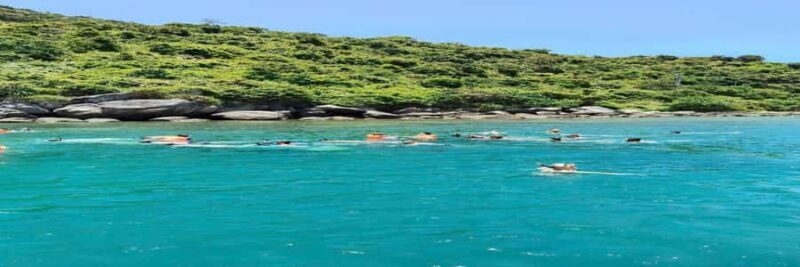Hoi An snorkeling by speedboat at Cham Island - Exploring Cham Island: An Authentic Marine and Cultural Experience