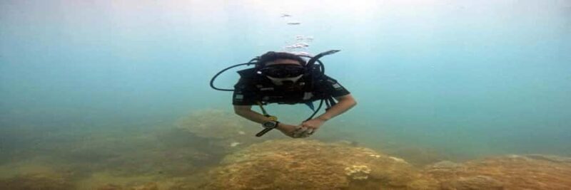 Hoi An snorkeling by speedboat at Cham Island - What Sets This Tour Apart?