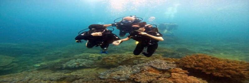 Hoi An snorkeling by speedboat at Cham Island - Who Is This Tour Best For?