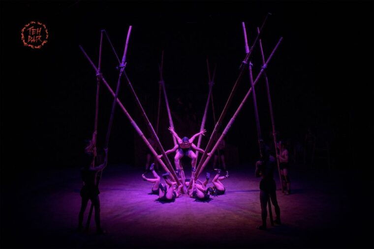 hoi-an-teh-dar-vietnamese-bamboo-circus-at-lune-center