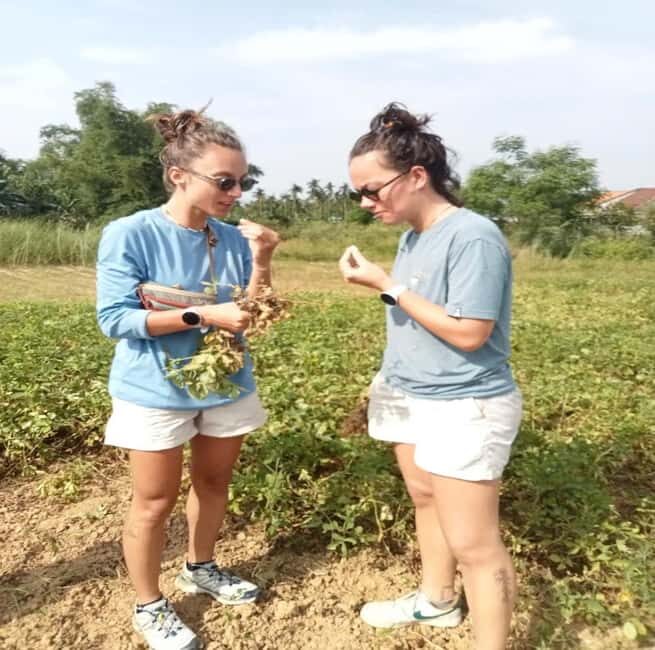 HOI AN TO MY SON SANCTUARY & COUNTRYSIDE BY EASYRIDE - Exploring Vietnam’s Countryside and My Son Sanctuary with EasyRide