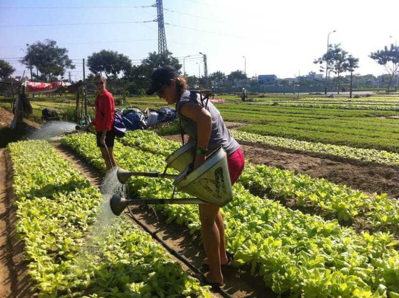 hoi-an-tra-que-village-tour-lantern-making-class