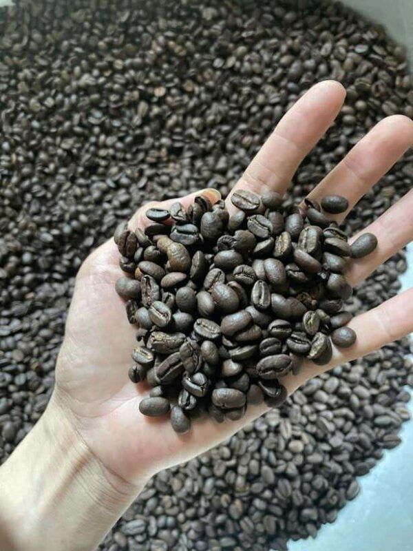 hoi-an-vietnamese-coffee-making-class-with-tasting