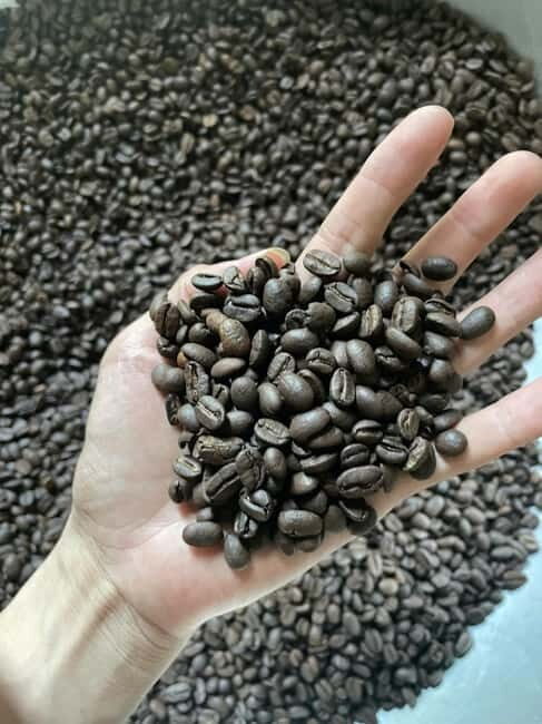 Hoi An:Coffee Making Class (Coffee: egg, Salt, Coconut, ...) - Why This Experience Appeals to Different Travelers