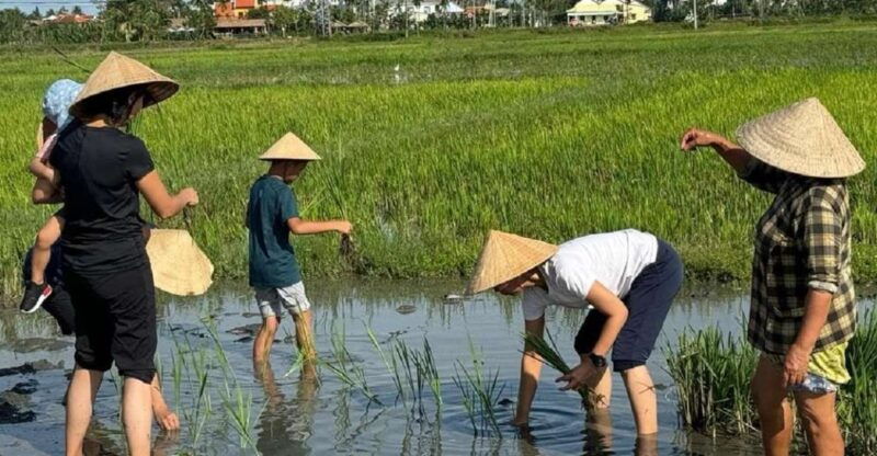hoi-ancyclingtraditional-farming-fishing-life-experience