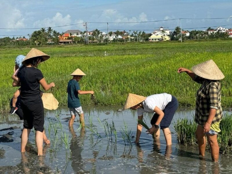 hoi-ancyclingtraditional-farming-fishing-life-experience