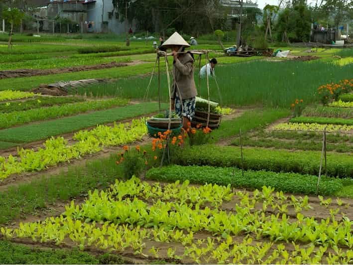 hoian-lantern-making-farmer-at-tra-que-small-group