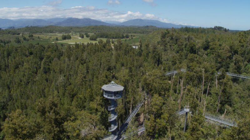 Hokitika: West Coast Tree Top Tower Zip Line and Walk - Discovering Hokitika’s Rainforest in a Fun, Practical Way