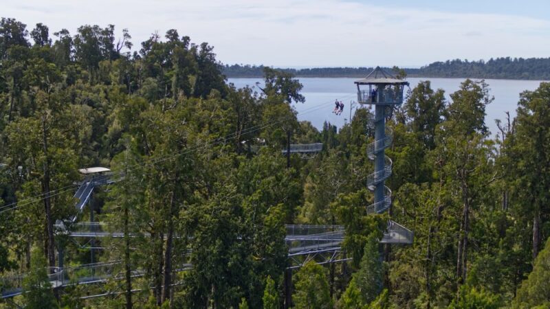 Hokitika: West Coast Tree Top Tower Zip Line and Walk - Authentic Insights from Reviewers