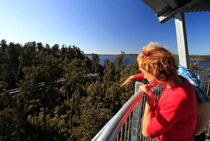 Hokitika: West Coast Tree Top Tower Zip Line and Walk - FAQ
