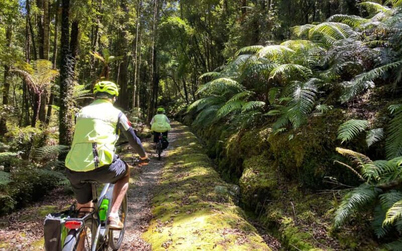 Hokitika: Wilderness Trail eBike Tour & Hokitika Gorge Walk - Practical Details & Tips