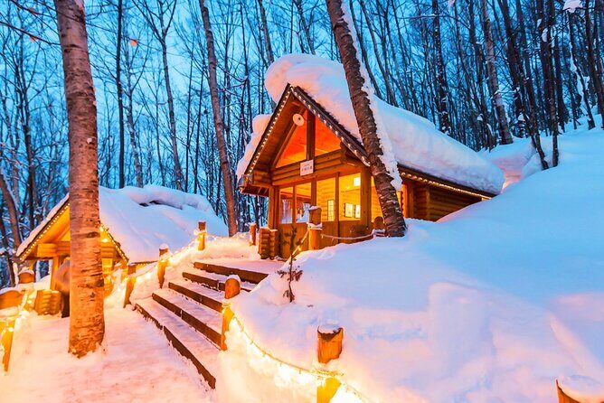 Hokkaido 1 Day Tour to Asahiyama Zoo, Blue Pond and Fairy Terrace - Exploring Furano’s Floral and Waterfall Attractions