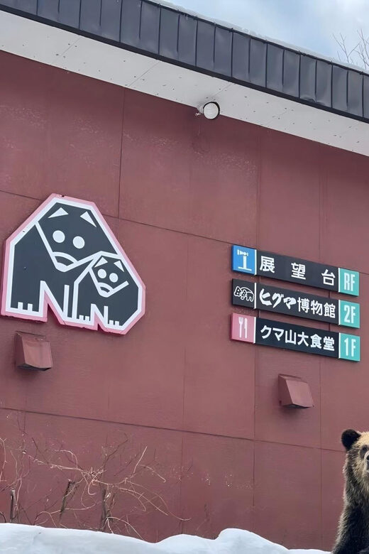 Hokkaido 10-hour chartered day trip Noboribetsu - FAQs