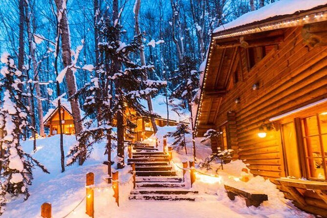 Hokkaido Asahiyama Zoo Biei Elf Terrace Day Tour - Introduction: A Well-Rounded Day in Hokkaido