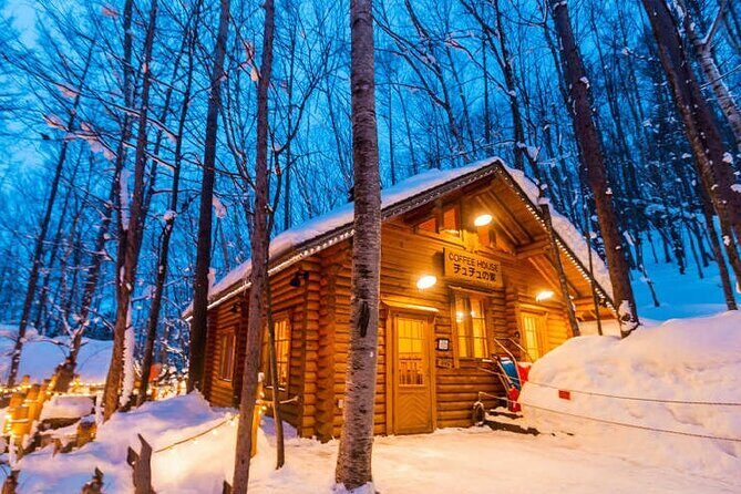 Hokkaido Asahiyama Zoo Biei Elf Terrace Day Tour - Practical Tips for Making the Most of Your Day