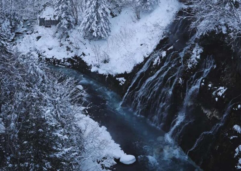 Hokkaido: Asahiyama Zoo Biei Ningle Terrace Day Tour - Final Thoughts