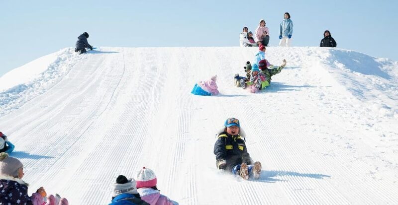 hokkaido-asahiyama-zoo-biei-ningle-terrace-full-day-trip