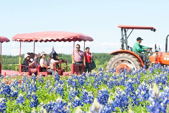 hokkaido-asahiyama-zoo-furano-and-ningle-terrace-full-day-tour
