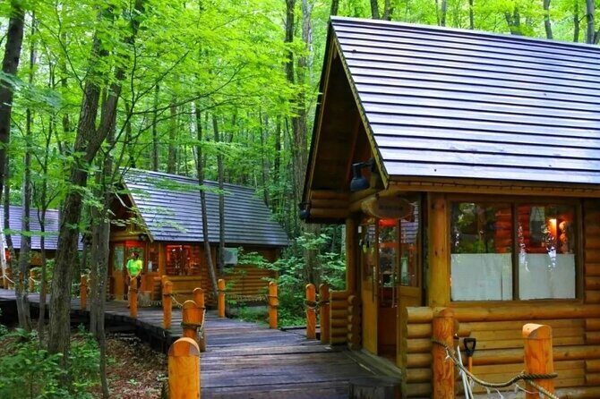 Hokkaido: Asahiyama Zoo, Furano, and Ningle Terrace Tour - Key Points