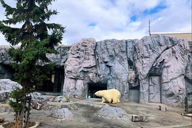 Hokkaido: Asahiyama Zoo, Furano, and Ningle Terrace Tour - Who Is This Tour Best For?