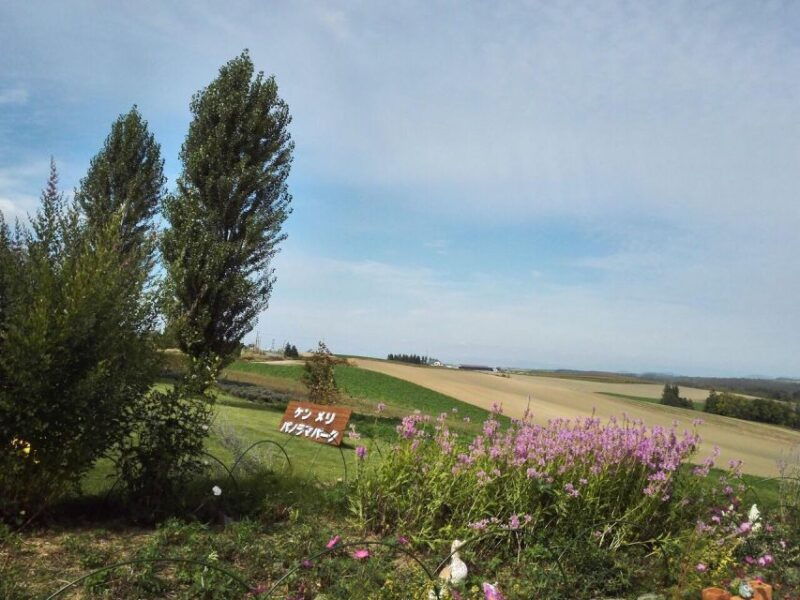 hokkaido-asahiyama-zoo-furano-and-ningle-terrace-tour