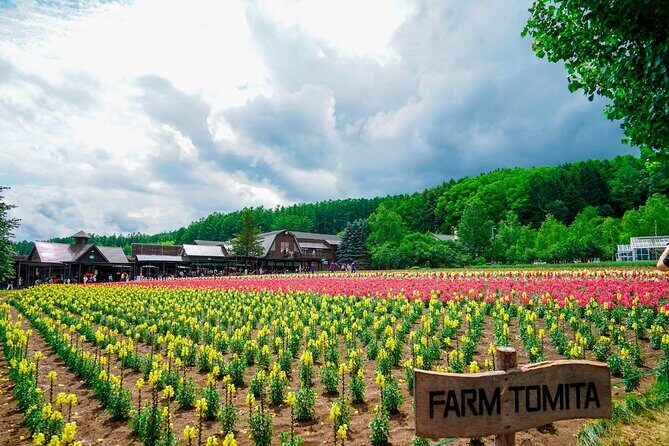 Hokkaido: Biei Blue Pond and Furano Flower Farm Day Trip - Who Would Enjoy This Tour?