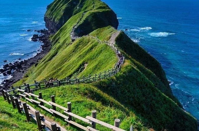 Hokkaido Cape Kamui Shimamui Coast Otaru Day Tour from Sapporo - Is It Worth It?