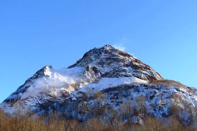 hokkaido-day-tour-from-sapporo-with-bear-park-option