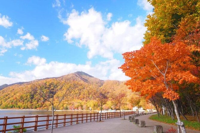hokkaido-day-tour-from-sapporo-with-bear-park-option