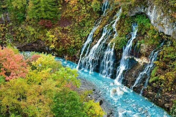 Hokkaido Day Trip From Sapporo, Asahiyama Zoo to Ningle Terrace - An In-Depth Look at the Itinerary