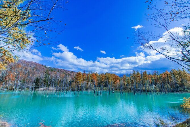 hokkaido-day-trip-from-sapporo-biei-aoike-furano-sea-of-flowers
