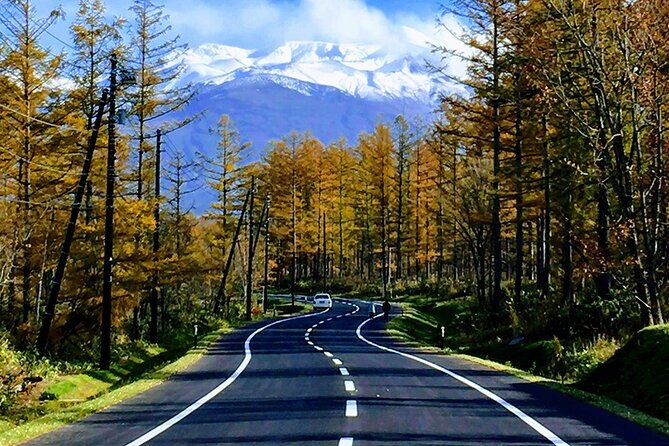hokkaido-day-trip-from-sapporo-biei-aoike-furano-sea-of-flowers