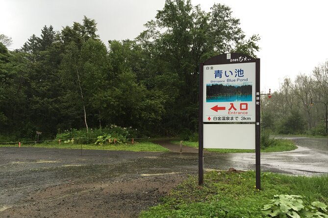 hokkaido-day-trip-from-sapporo-biei-aoike-furano-sea-of-flowers