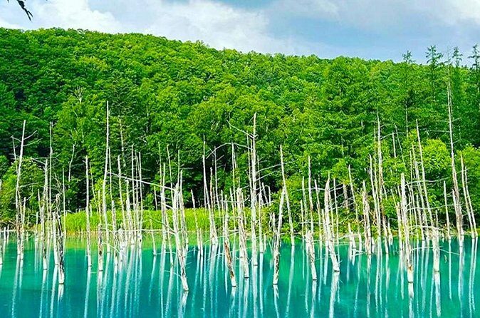 Hokkaido Farm Tomita Shikisai Hill Waterfall& Blue Pond Day Tour - FAQs