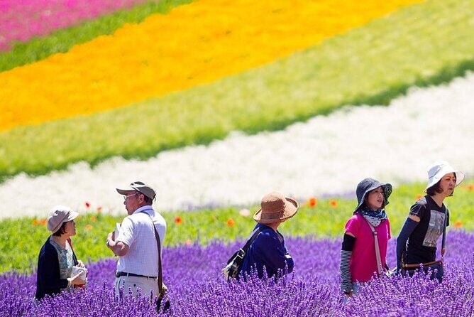 Hokkaido Furano Lavender & Biei Blue Pond Tour with Lunch - Price and Value Analysis