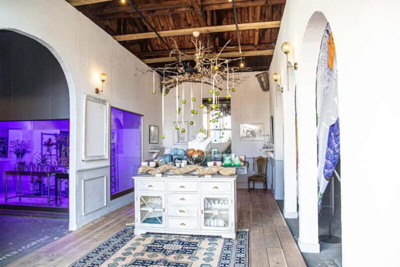 Hokkaido: Hananingen Sprouting Experience Photography Plan - Final Thoughts: Who Should Consider This Experience?  